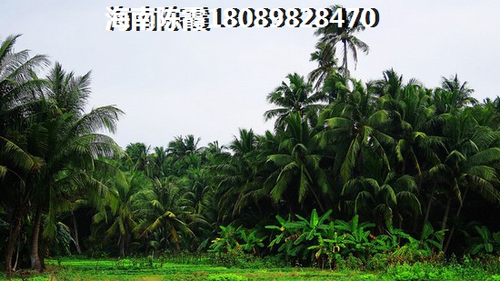 河源汇景九里湾效果图